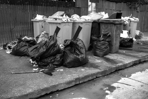 Garden clearance professionals working in Raynes Park